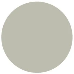 RailMatch 1206 Rail Grey (150ml Aerosol)