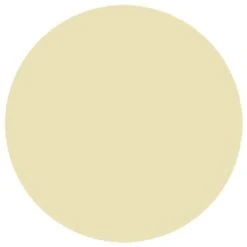 RailMatch 218 WR Cream (15ml Enamel)