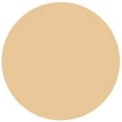 RailMatch 2425 New Stone (Acrylic) (18ml)