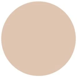 RailMatch 2430 New Timber (Acrylic)(18ml)