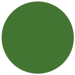 RailMatch 307 BR Early Multiple Unit Green (15ml Enamel)