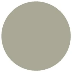 RailMatch 2320 Diesel Roof Grey (acrylic) (18ml)