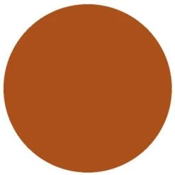 RailMatch 404 Light Rust (15ml Enamel)