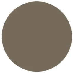 RailMatch 2407 Matt Varnish (acrylic) (18ml)