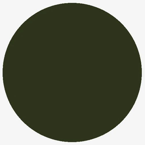 RailMatch 631 SR Dark Olive (15ml Enamel)