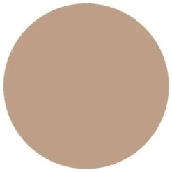 RailMatch 607 GWR Dark Stone (15ml Enamel)